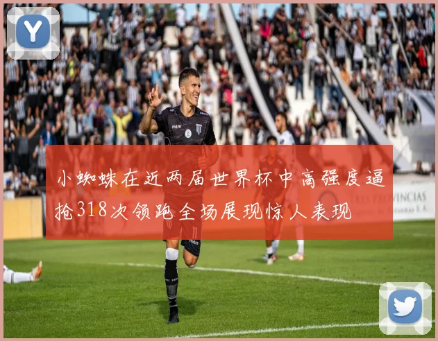 小蜘蛛在近两届世界杯中高强度逼抢318次领跑全场展现惊人表现